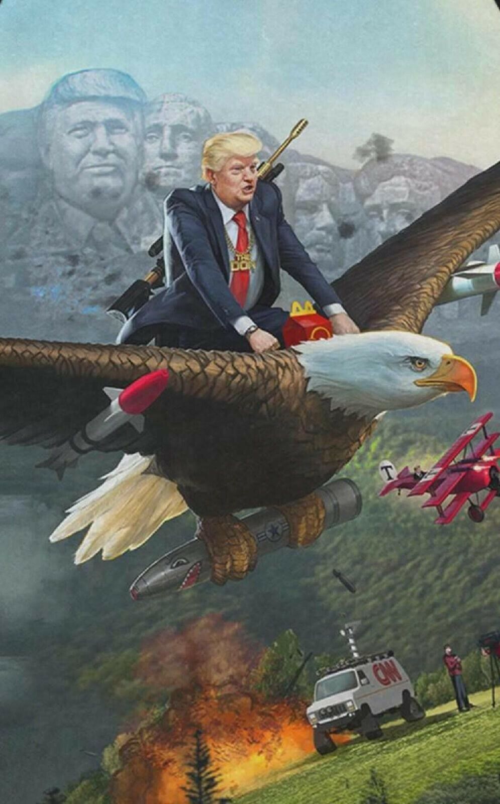 Pro Trump Bald Eagle Anti-CNN Funny Sticker  Pro USA MAGA Mount Trumpmore