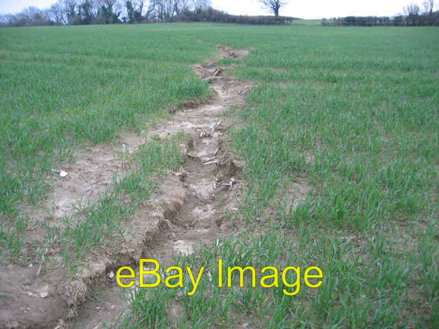 Photo 6x4 Soil erosion, Warmwell, Dorset Following prolonged heavy rain,  c2004