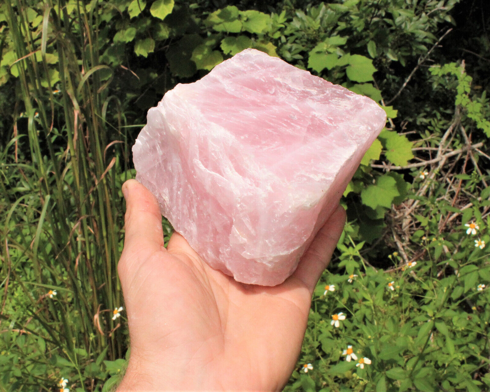 JUMBO Rose Quartz Raw Natural Crystal Specimen: 1 - 2 lb HUGE Chunk (Love Stone)