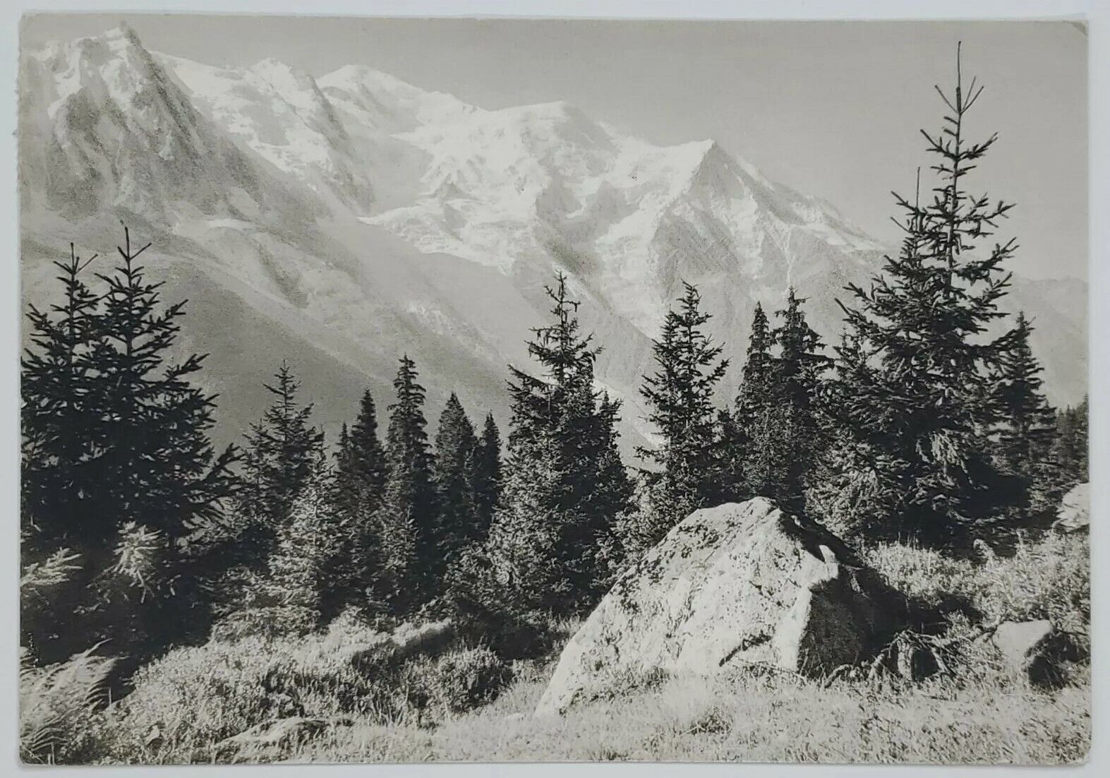 Postcard La Chaîne du Mont Blanc Glaciers 1972 Black White Wood Scene A1