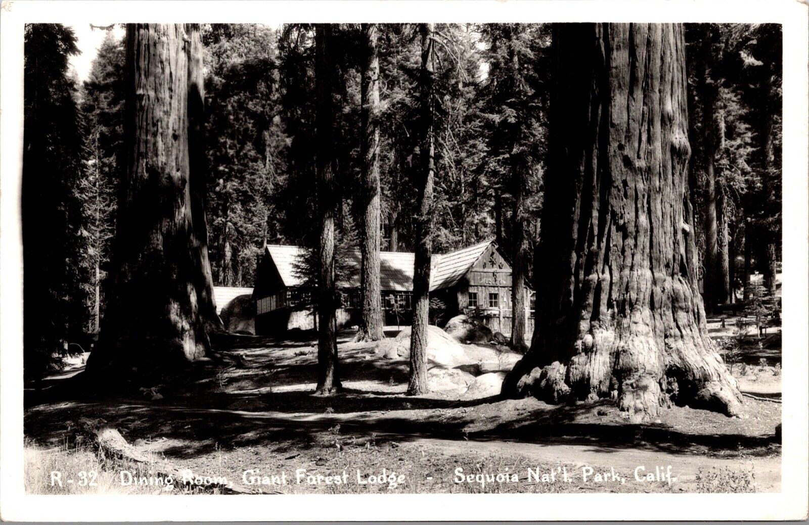 RP Postcard Dining Rooms Giant Forest Lodge Sequoia National Park California
