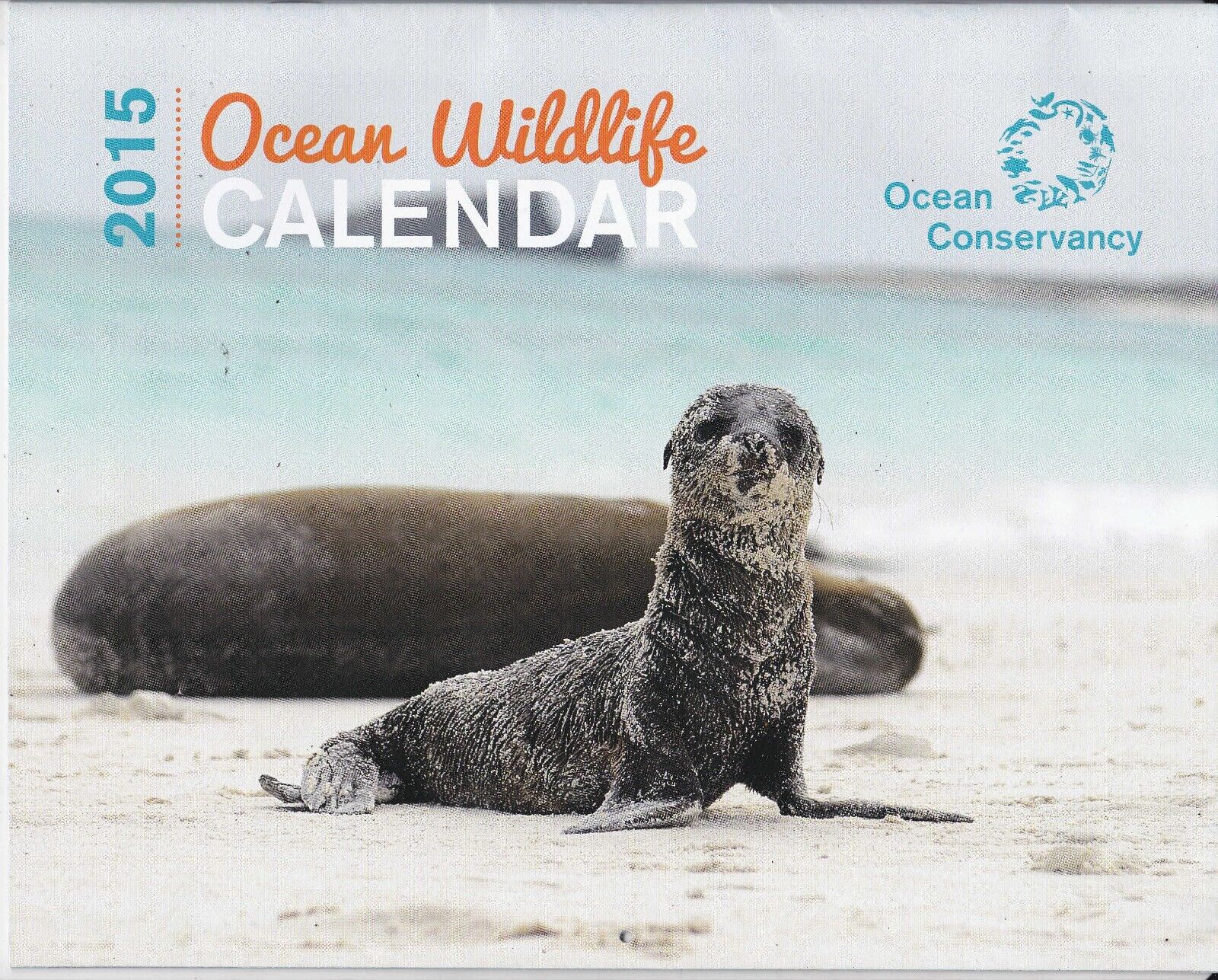 2015 Ocean Wildlife 12 Month Photo Calendar Conservancy Otters Penguins Turtles