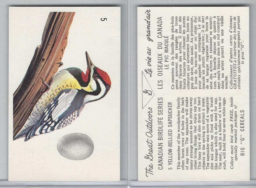 FC33-2  General Mills, Canadian Birdlife, 1960, #5 Yellow-Bellied Sapsucker