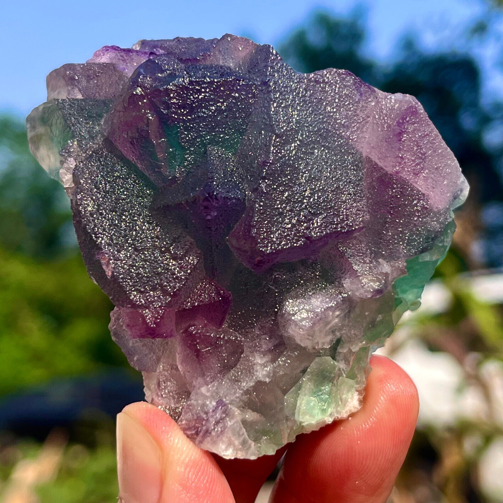 146G Natural transparent green cube fluorite mineral crystal sample/China
