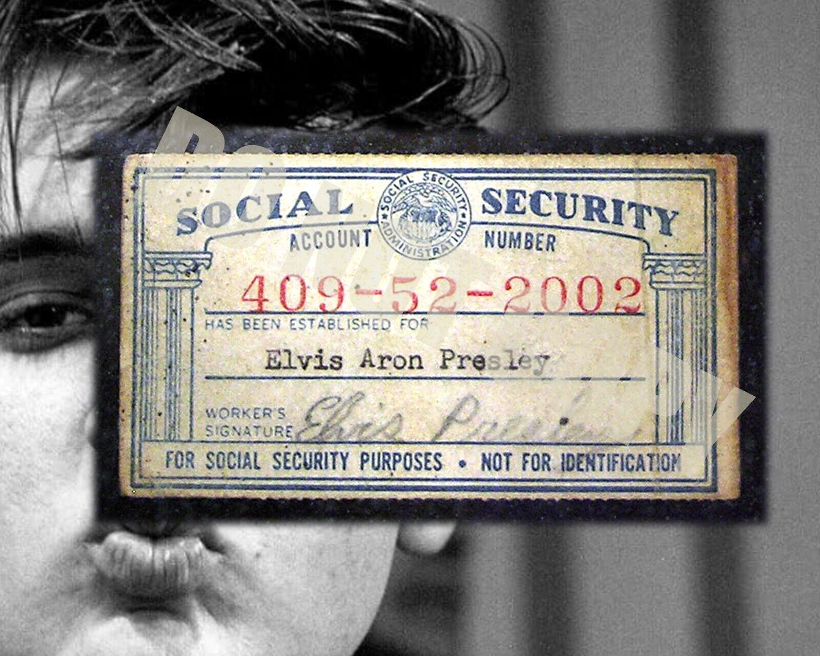 Elvis Presley THE KING OF ROCK N ROLL Social Security SOS Card 8x10 Photo