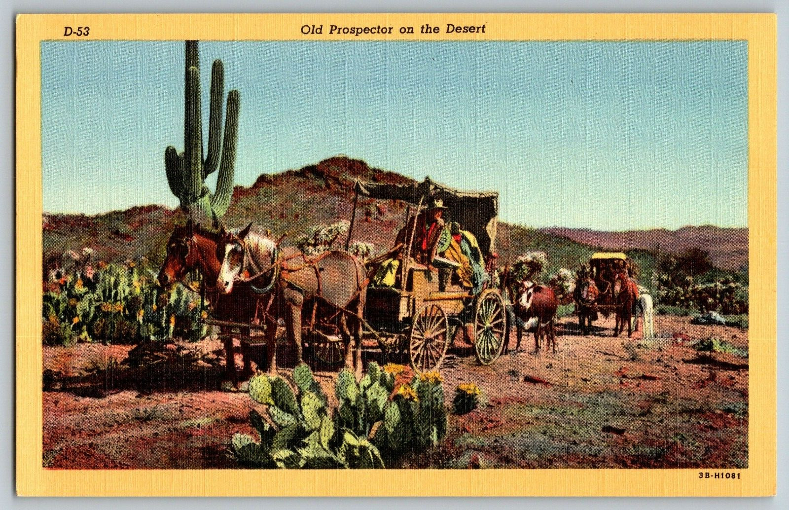 Old Prospector on the Desert \
