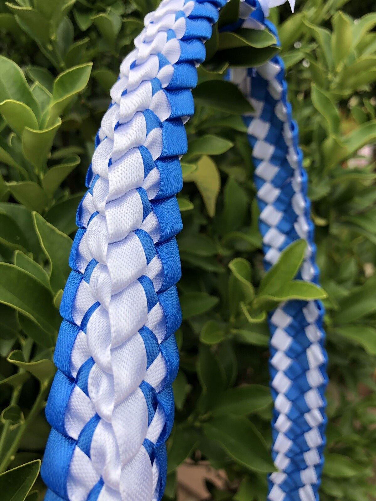 Blue & White Ribbon Double Ribbon Graduation Lei (Custom orders available)
