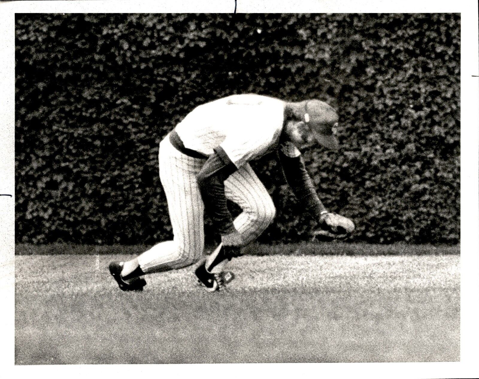 LD280 1978 Original Photo ANATOMY OF AN INJURY Dave Kingman Chicago Cubs MLB