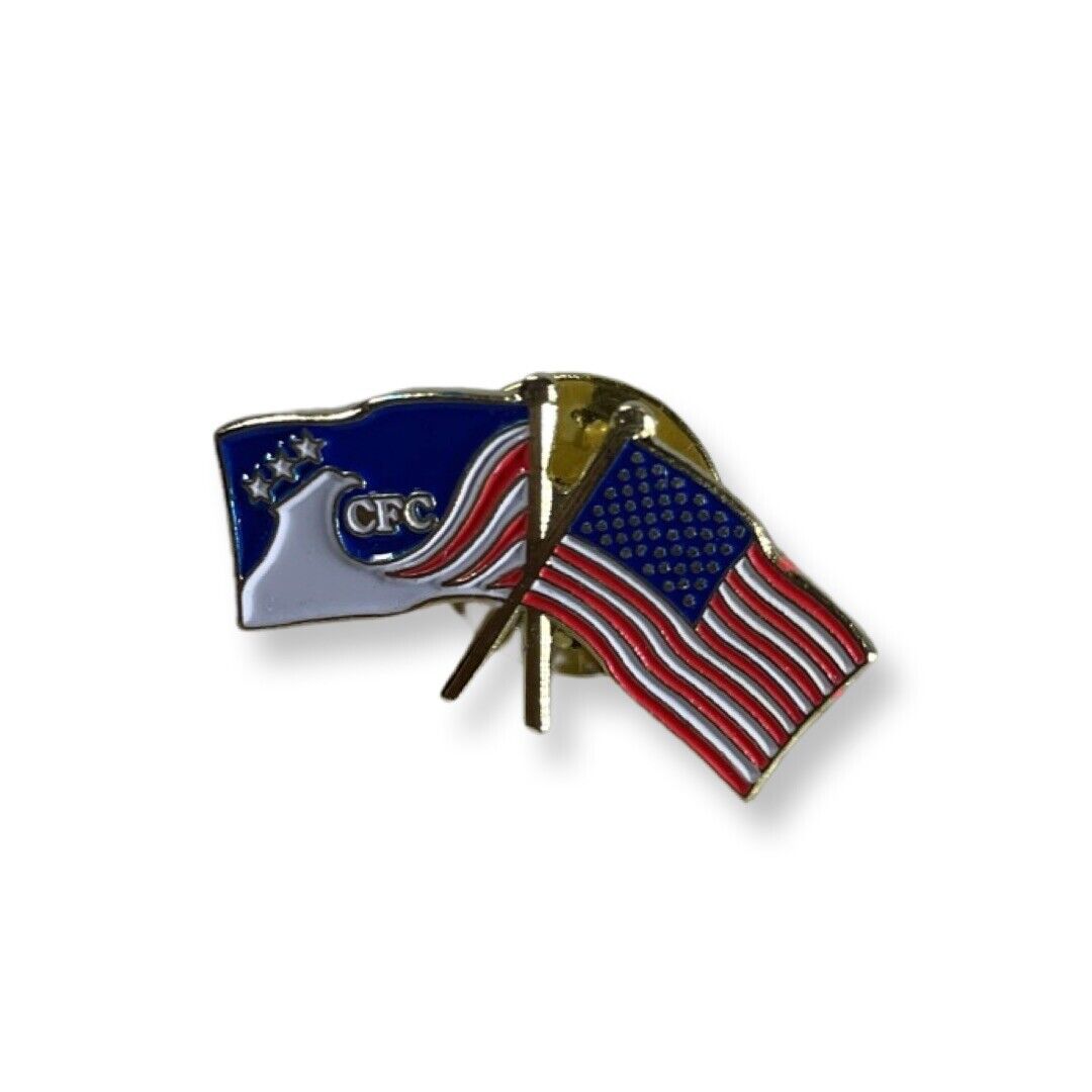 USA Flag CFC Combined Federal Campaign Crossed Flags Patriotic Lapel Pin Back