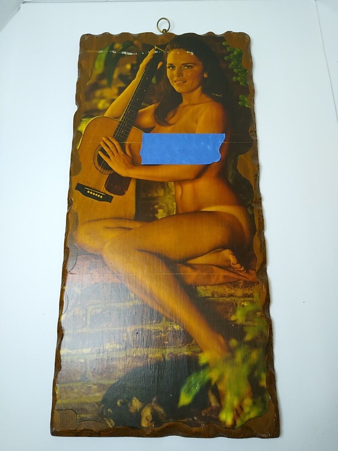Michelle Hamilton 1968 Rare Pin-up Layered On Wooden Backboard Vietnam Era