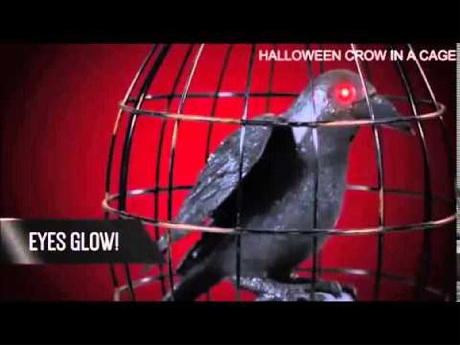 Life Size ANIMATED CROW RAVEN BIRD CAGE Halloween Haunted House Prop Decoration