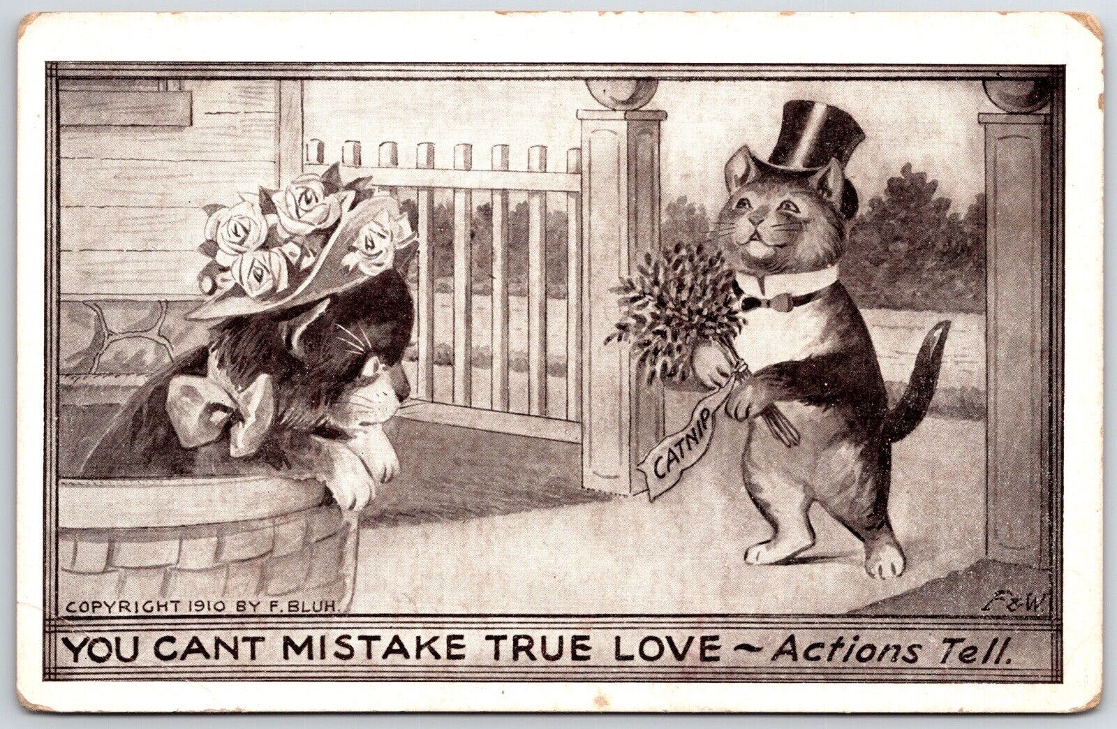anthropomorphic cats tuxedo hat dressed funny vintage postcard F. bluh UNP
