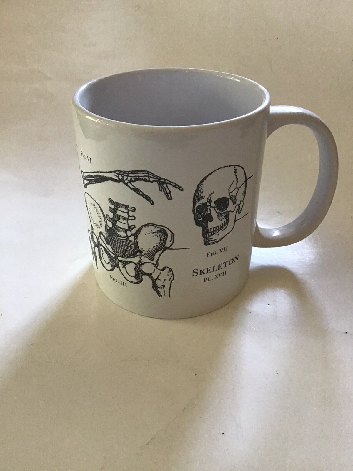 Human Anatomy large Mug Cup Skeleton bones drawing white with black design