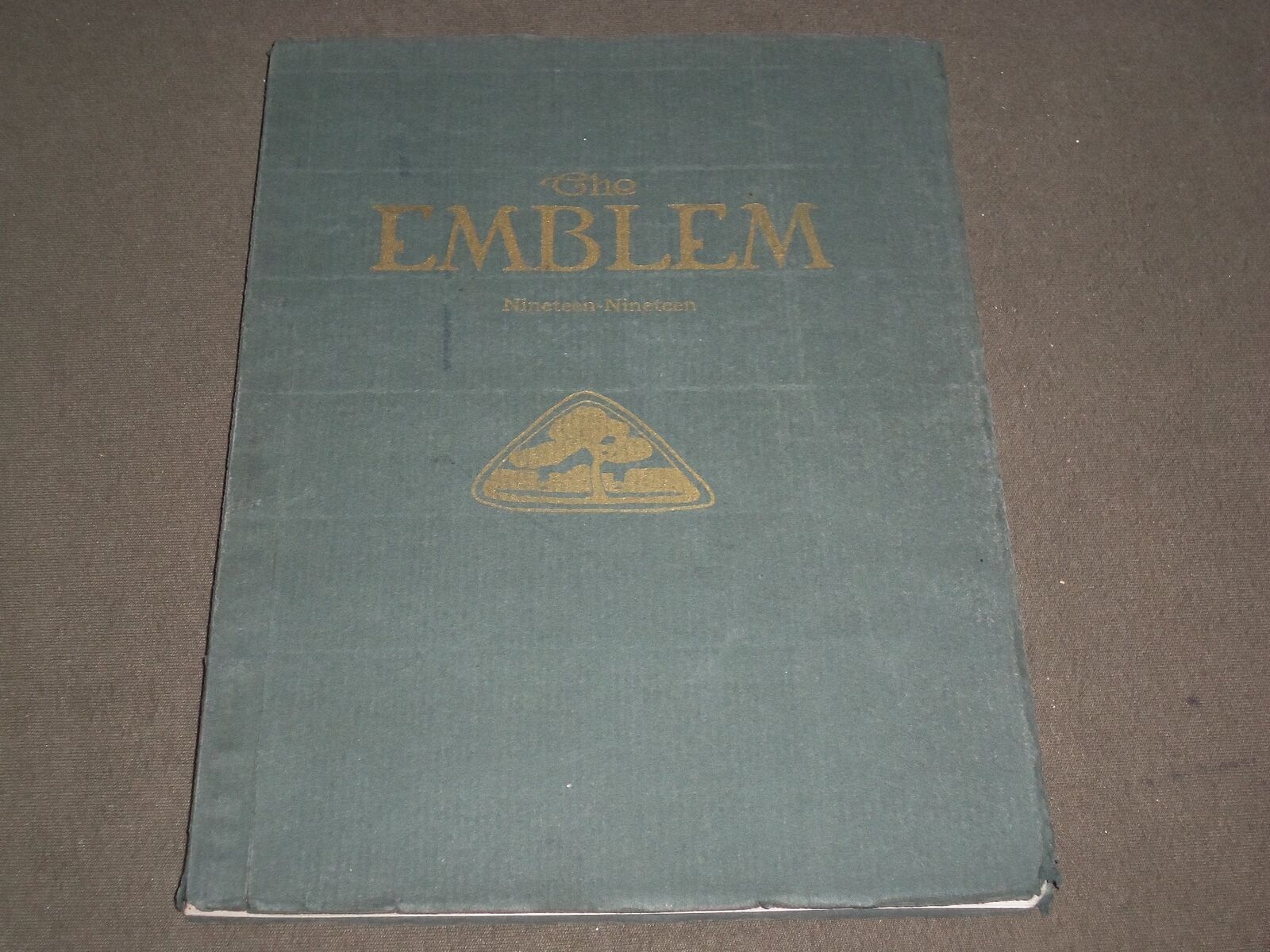 1919 THE EMBLEM CHICAGO NORMAL COLLEGE YEARBOOK - ILLINOIS - PHOTOS - YB 1131