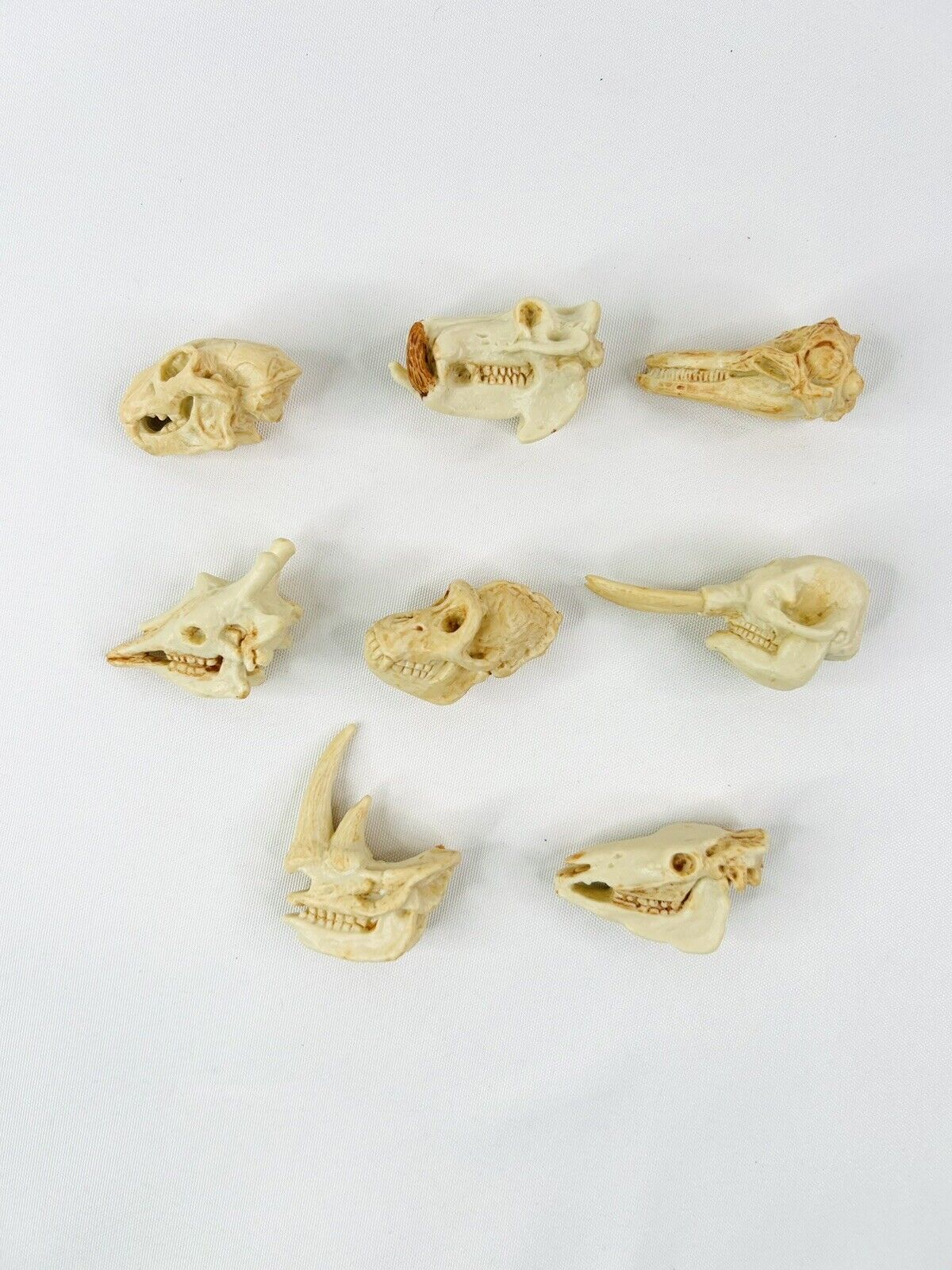 Safari Ltd Dinosaur Skulls Fossils Bones Prehistoric Vinyl Figures Lot Of 8