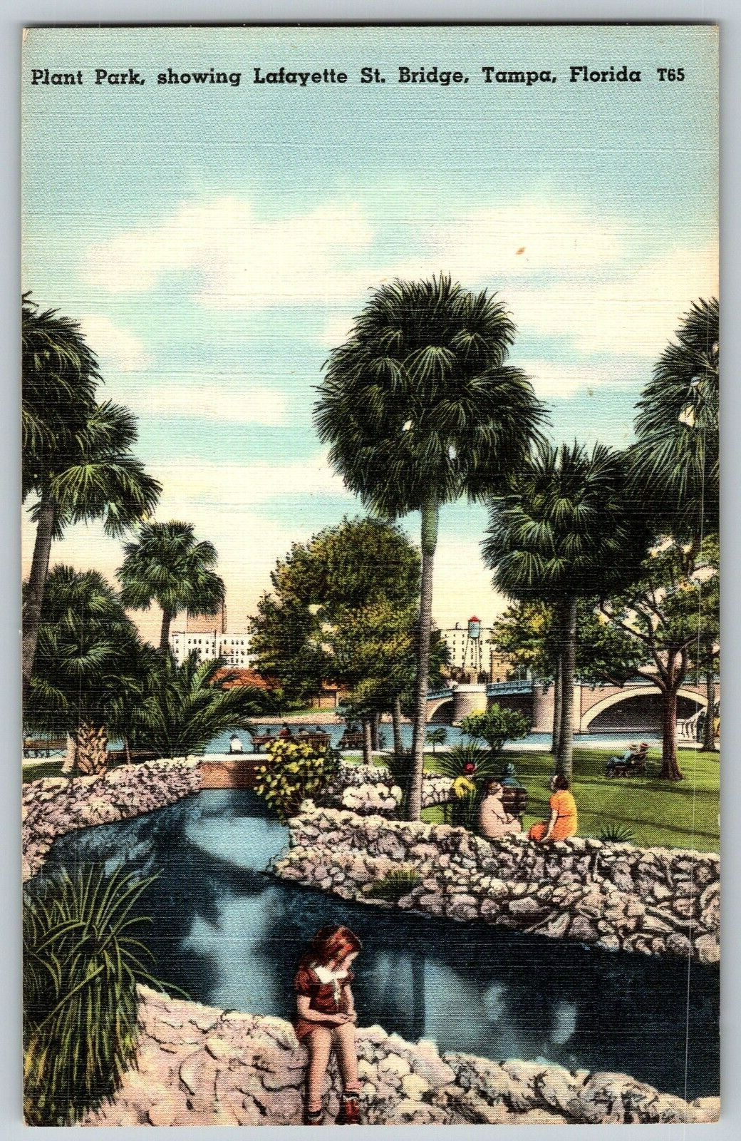 Tampa, Florida - Plant Park, Lafayette St. Bridge - Vintage Postcard - Unposted