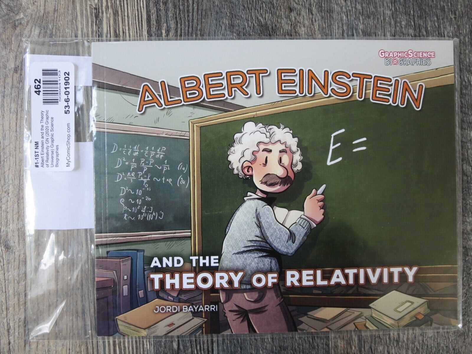 Albert Einstein and The Theory of Relativity 2020 Graphic Novel Great Shape