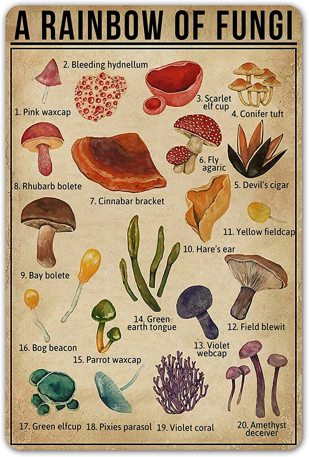 A Rainbow of Fungi Vintage Tin Sign Mushroom Fungi Knowledge Metal Signs Nature 