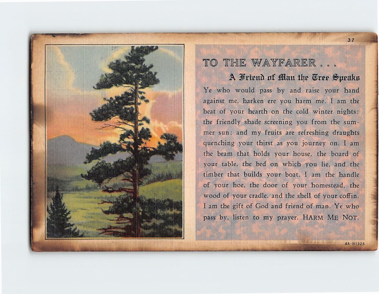 Postcard To The Wayfarer . . .