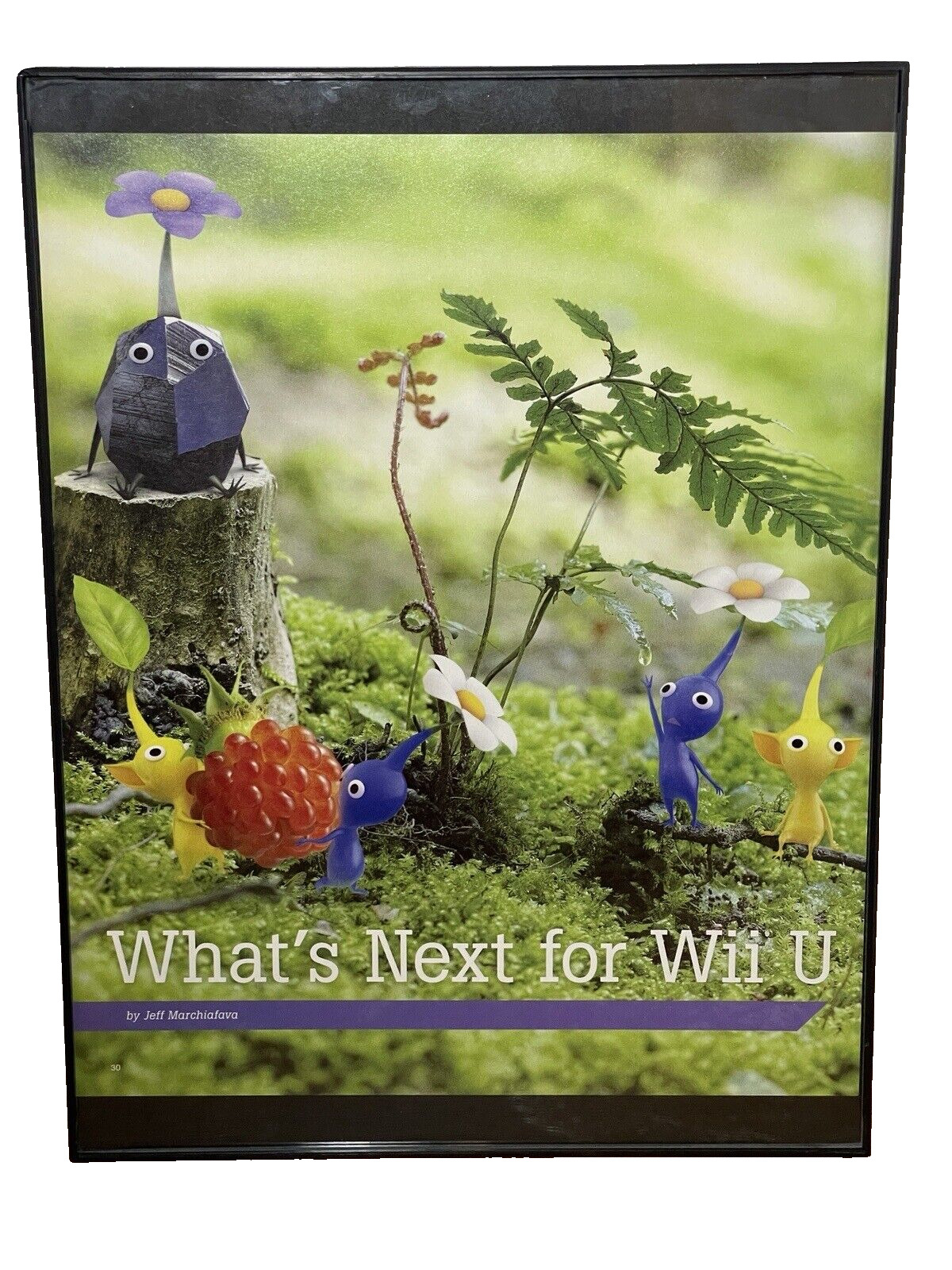 Framed Pikmin What’s New For Wii U Print Ad Game Room Art