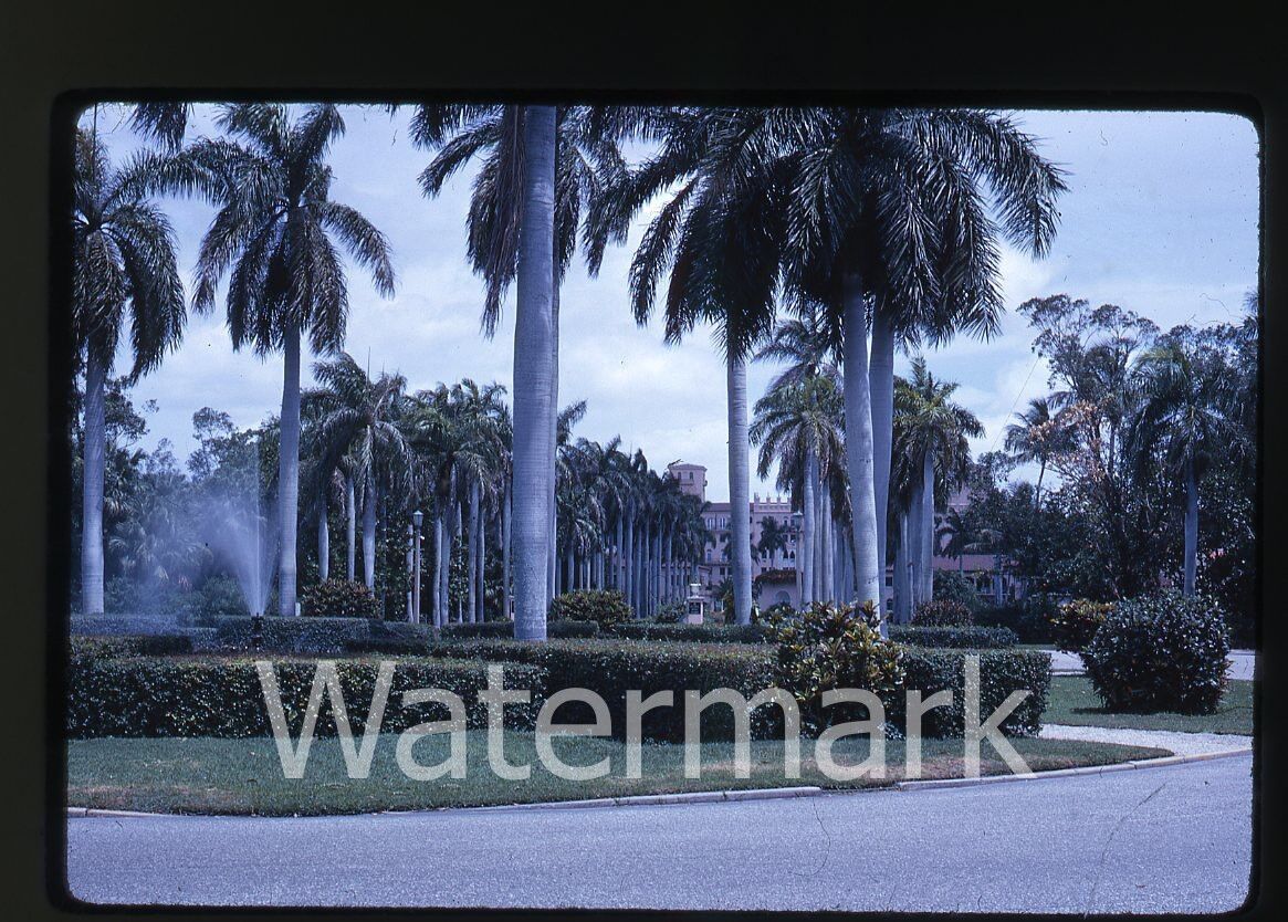 1962 35mm Kodachrome Photo slide Boca Raton Fl Building  Palm Trees 