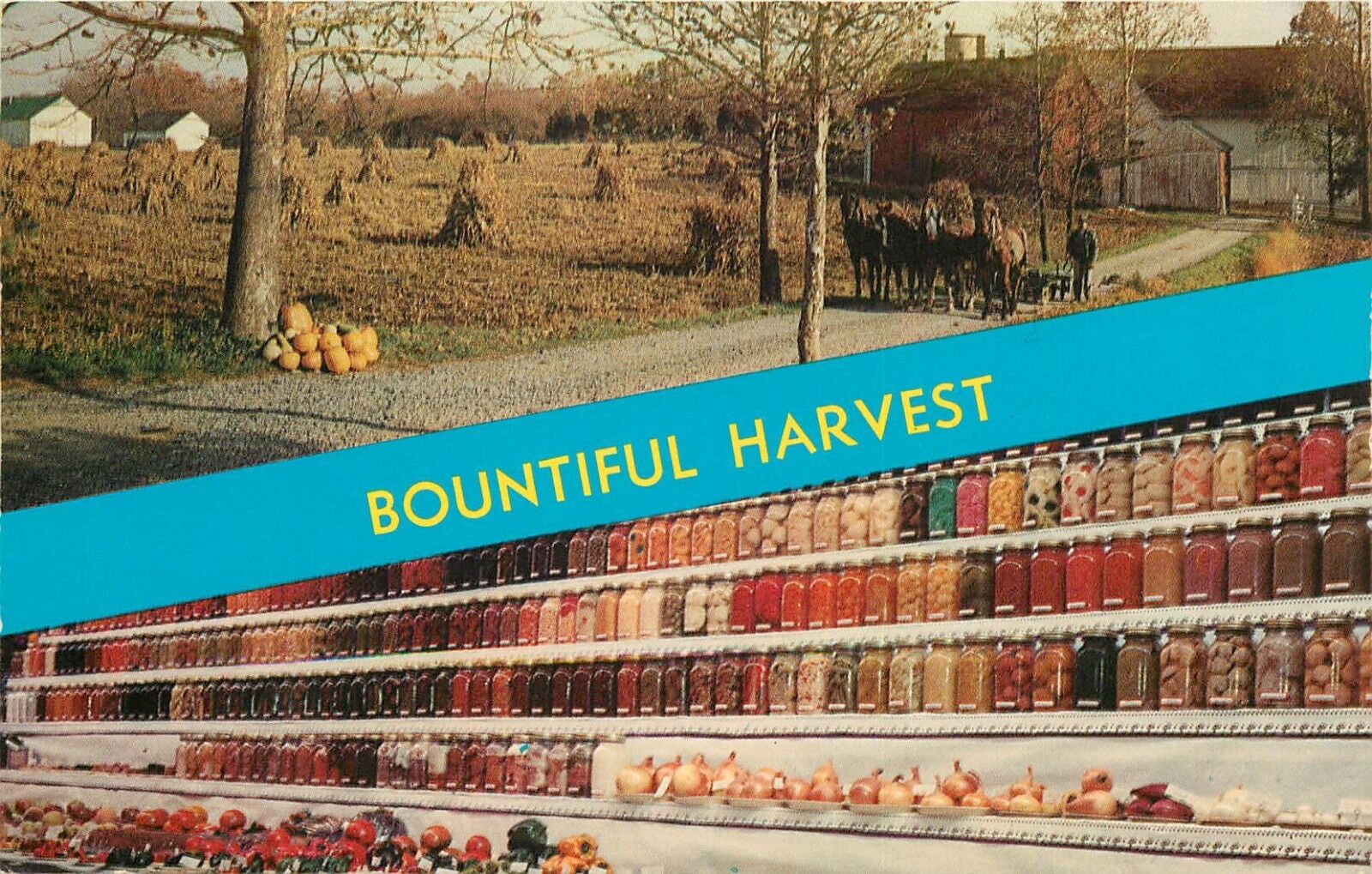 Heart of Dutchland Amish Mennonite Lascaster Pennsylvania Mason Jars Postcard