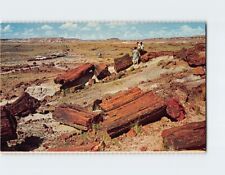 Postcard Petrified Forest National Monument, Arizona picture