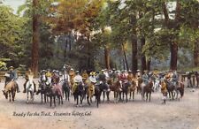Yosemite Valley CA National Park Cowboy Horse Chas Weidner Postcard Made Germany picture