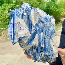 6.47LB Rare Natural beautiful Blue KYANITE with Quartz Crystal Specimen Rough picture