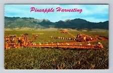 HI-Hawaii, Modern Machine Pineapple Harvesting, Antique Vintage Postcard picture