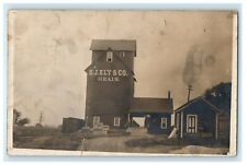 1909 Ely Co. Grain Store Railroad Minerva Illinois IL RPPC Photo Posted Postcard picture