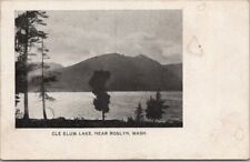 Vintage 1900s ROSLYN, Washington Postcard 