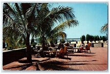 1960 Hotel Los Cocos Coconut Palms Beach La Paz Baja California Vintage Postcard picture