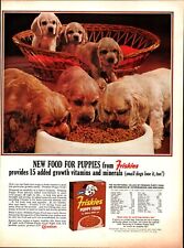 1963 Friskies Puppies Food Ad   Cocker Spaniel Puppy Dogs nostalgic b8 picture