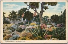 Vintage 1910s SAN DIEGO, California Postcard 