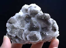157g Natural Rare Fish Scaly Calcite & 7Colored Pyrite Mineral Specimen  /China picture