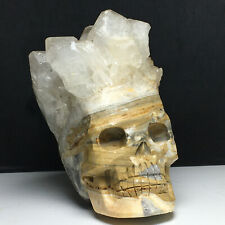704g Natural Crystal Cluster Quartz,Carved Crystal Skull, Realistic,Healing picture