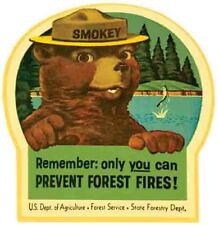 Prevent Forest Fires  70's style Travel Sticker decal SMOKEY environmental picture