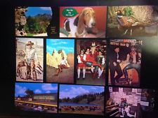 40+ Postcard lot, South Dakota. Wall Drug. Nice picture