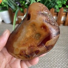 573g Bonsai Suiseki-Natural Gobi Agate Eyes Stone-Rare Stunning Viewing 9832 picture