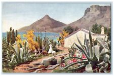 Farm Near Hout Bay Cape Town Reward Card Tuck's Oilette Vintage Postcard picture