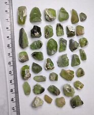 65-gm Peridot Crystals Lot (38 PCs) from Suppat, Kohistan, Pakistan picture