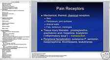 65 page PSYCHIATRY Of PAIN PowerPoint Presentation CD picture