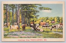 Postcard Greetings From Weingarten Missouri St Genevieve County Linen 1944 picture