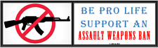 school shootings BE PRO LIFE: SUPPORT AN ASSAULT WEAPONS BAN bumper sticker picture