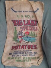 RARE Vintage Color Bikini Girl Logo Big Lake Special Burlap 100lb Potato Sack  picture
