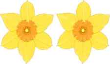 2.5in x 3in Yellow Daffodil Vinyl Stickers Car Truck Vehicle Bumper Decals picture