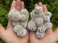 Jumbo Desert Rose Clusters, 1.75-4 Inches Desert Gypsum Rose, Pick a Size picture