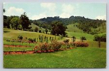 Lincoln Memorial University Cumberland Gap TN Rose Gardens Vintage Postcard  picture