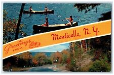 1968 Greetings From Monticello New York NY Dual View Canoeing Road Postcard picture